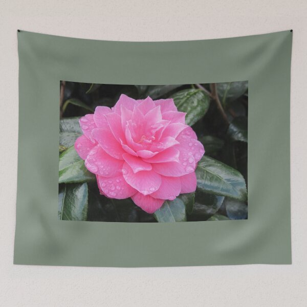 Item preview, Camellia With Raindrops designed and sold by lezvee.