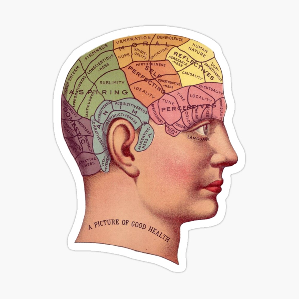 human brain mapping labels