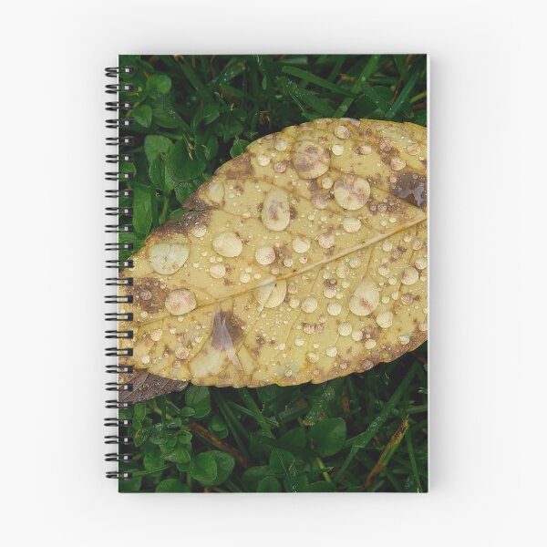 Item preview, Dew On A Leaf     #6806 designed and sold by JL Woody Wooden.