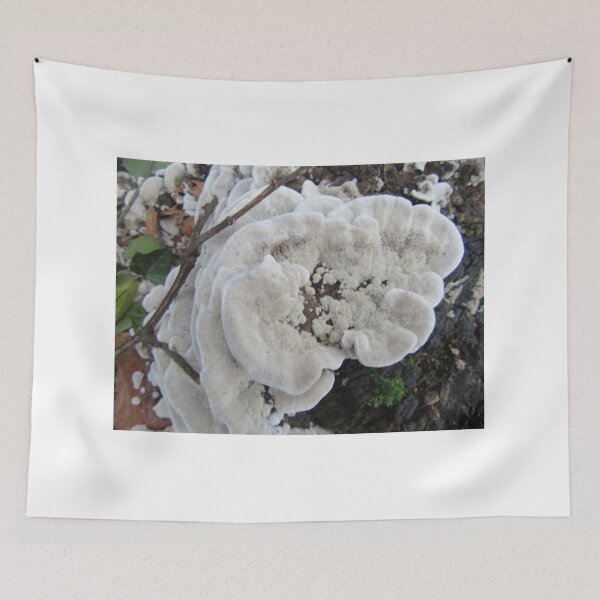 Item preview, Parkside Fungi designed and sold by lezvee.