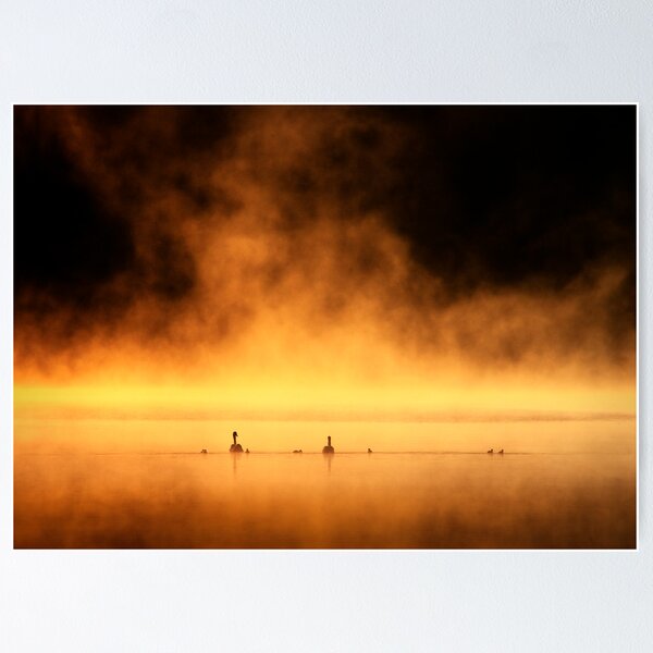 Item preview, Swansong... designed and sold by David Mould.