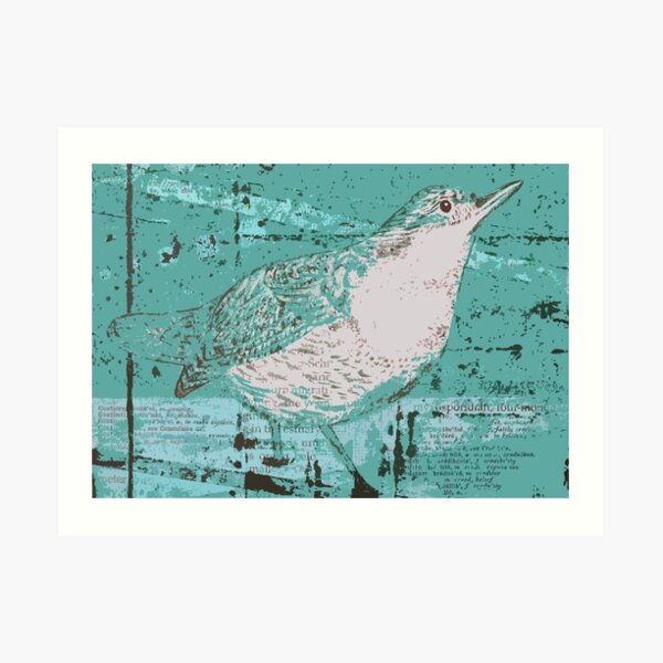 Dipper Bird Teal Art Print