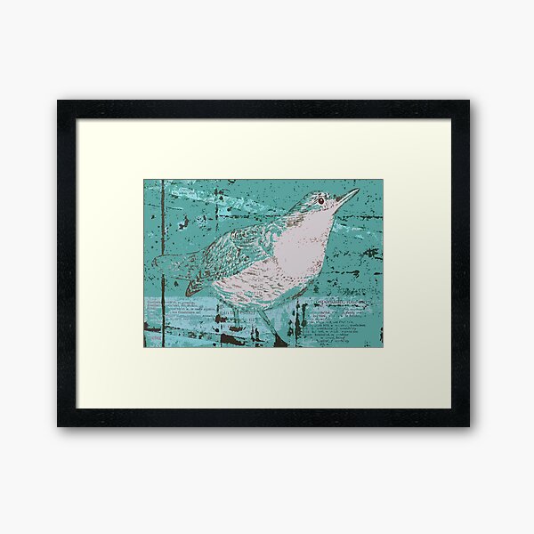 Dipper Bird Teal Framed Art Print