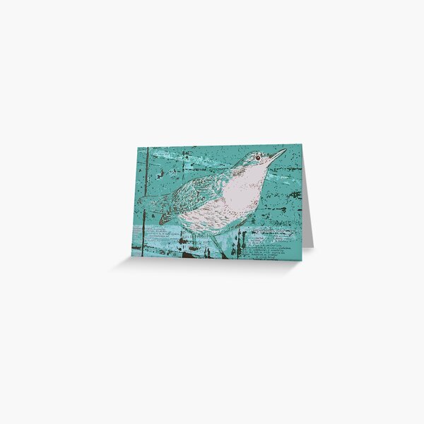 Dipper Bird Teal Greeting Card