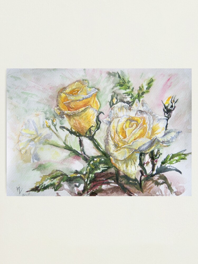 Thumbnail 1 of 3, Photographic Print, Yellow Roses designed and sold by Anthropolog.