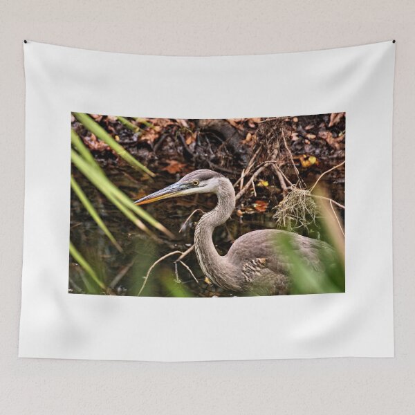 Item preview, Great Blue Heron 5 - Florida designed and sold by jtrommer.