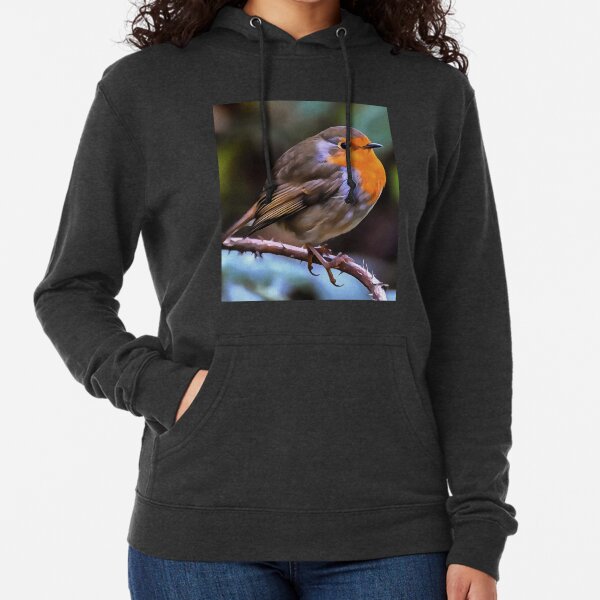 Plump Robin Perched On A Branch Wildlife Art Lightweight Hoodie