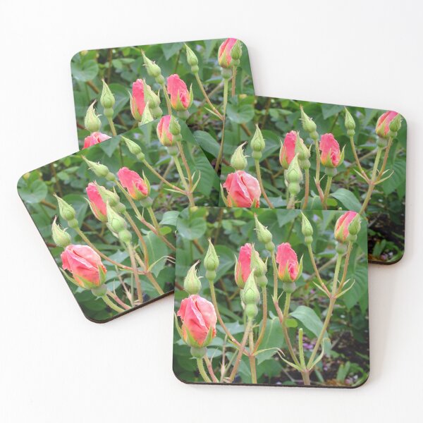 Item preview, Pink rose buds designed and sold by pinkal.