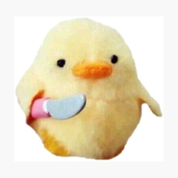 cute but will cut you Photographic Print