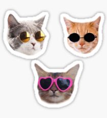 Pegatina Paquete de pegatinas Cool Kitties # 1