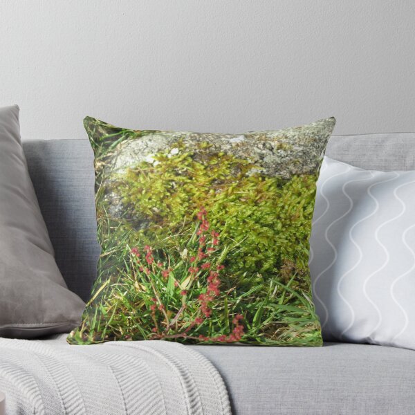 Item preview, A Mossy Rock At Hountor, Devon designed and sold by lezvee.