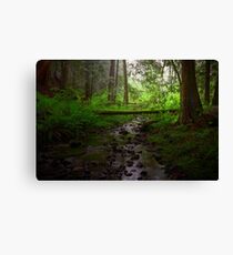 blue ribbon Canvas Print