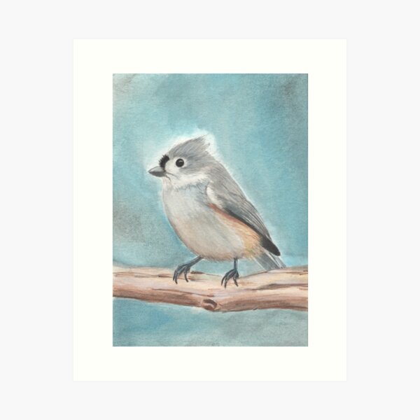 Tufted Titmouse Art Print