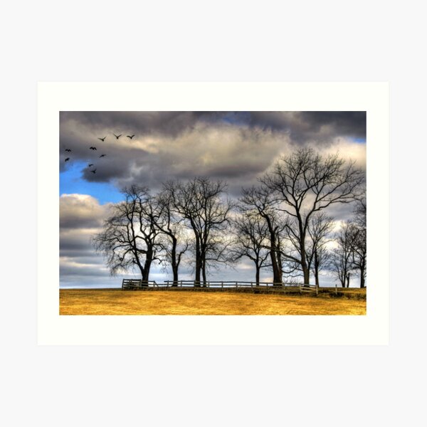 BROKEN FENCES Art Print