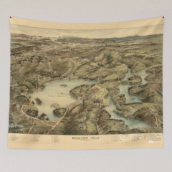 Item preview, Aerial View of Middlesex Fells, Massachusetts (1903) designed and sold by allhistory.