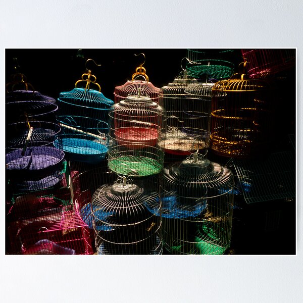Item preview, Bird Cages designed and sold by docophoto.