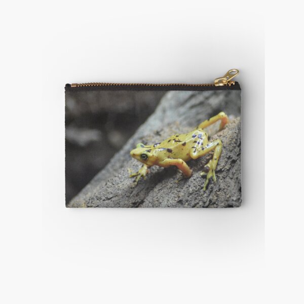 Item preview, Panamanian Golden Frog designed and sold by rthornberry.