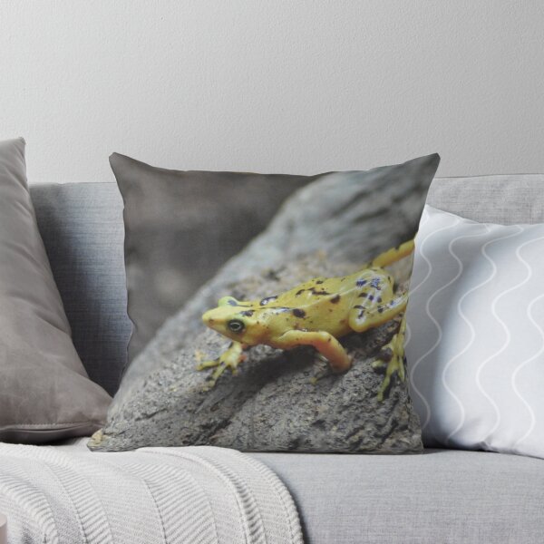 Item preview, Panamanian Golden Frog designed and sold by rthornberry.