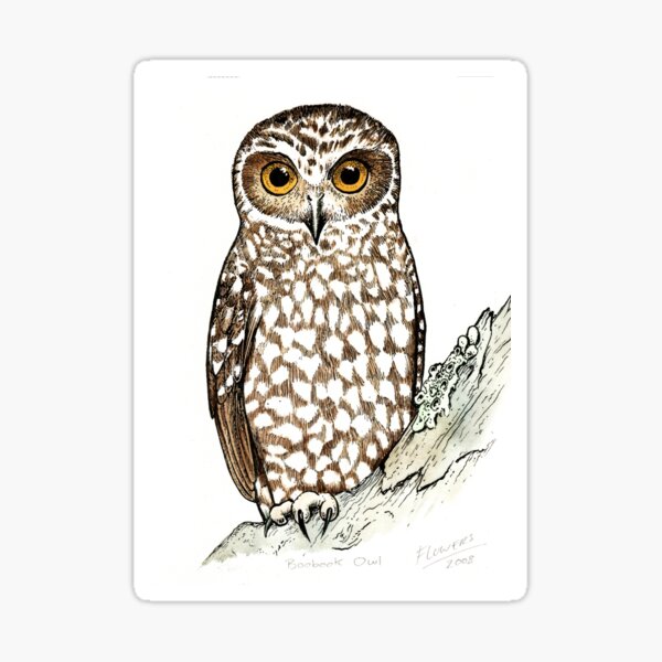 Item preview, Boobook Owl designed and sold by SnakeArtist.