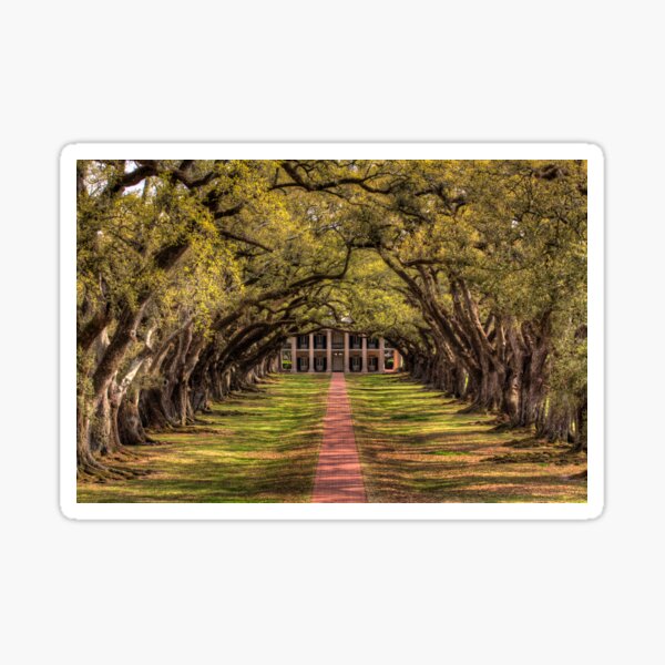 Item preview, Oak Alley designed and sold by steini.