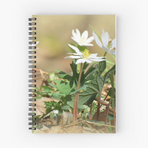 Item preview, Its Spring! designed and sold by Jean Gregory Evans.