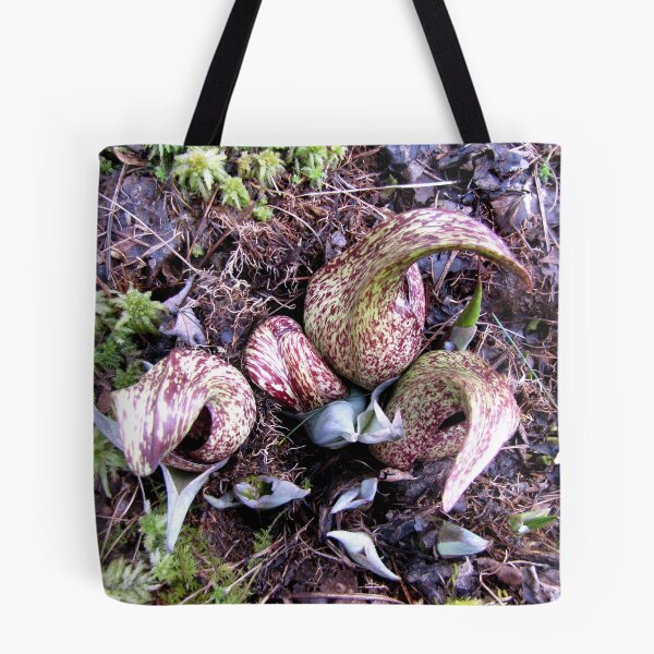 Item preview, Eastern Skunk Cabbage (symplocarpus foetidus) designed and sold by Jean Gregory Evans.