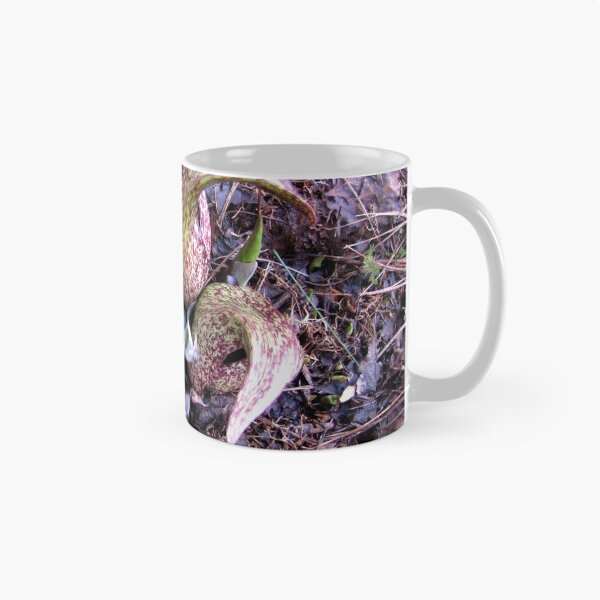 Item preview, Eastern Skunk Cabbage (symplocarpus foetidus) designed and sold by Jean Gregory Evans.