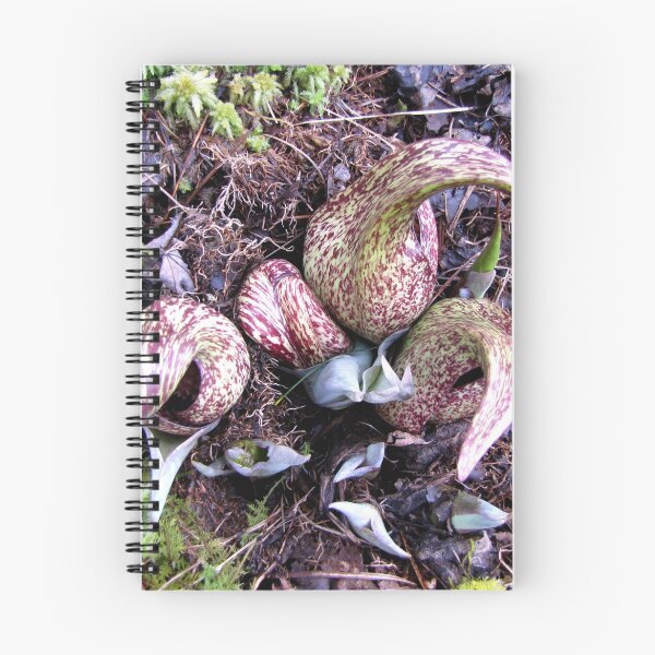 Item preview, Eastern Skunk Cabbage (symplocarpus foetidus) designed and sold by Jean Gregory Evans.