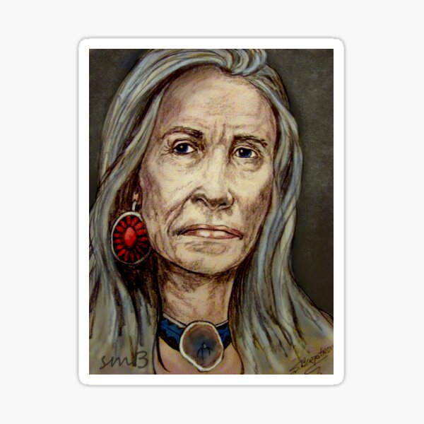 "Squash Blossom" Sticker by susanbergstrom Redbubble