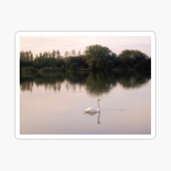 Item preview, Swan on lakes in Somerset designed and sold by anaisnais.