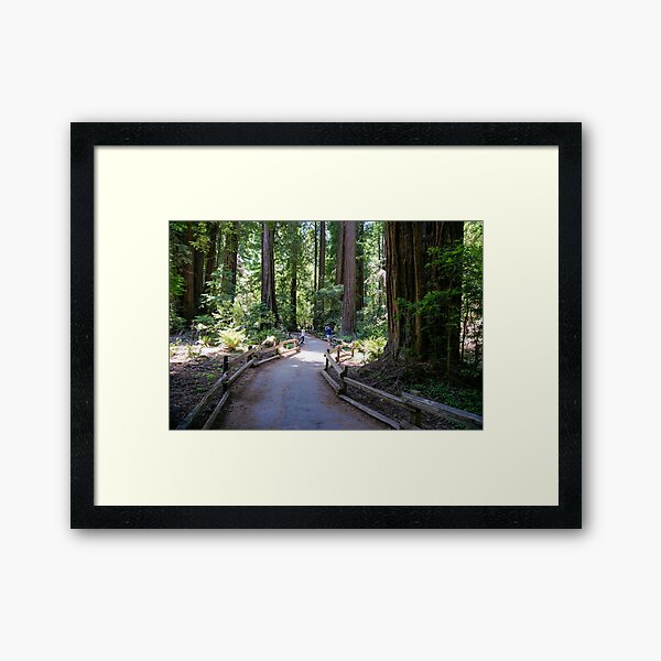 Item preview, Muir Woods National Monument, Mill Valley, California, USA designed and sold by rossacampbell.