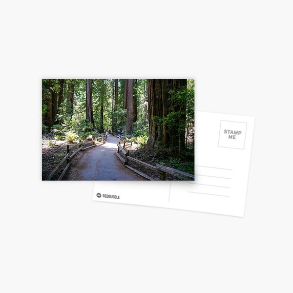 Item preview, Muir Woods National Monument, Mill Valley, California, USA designed and sold by rossacampbell.
