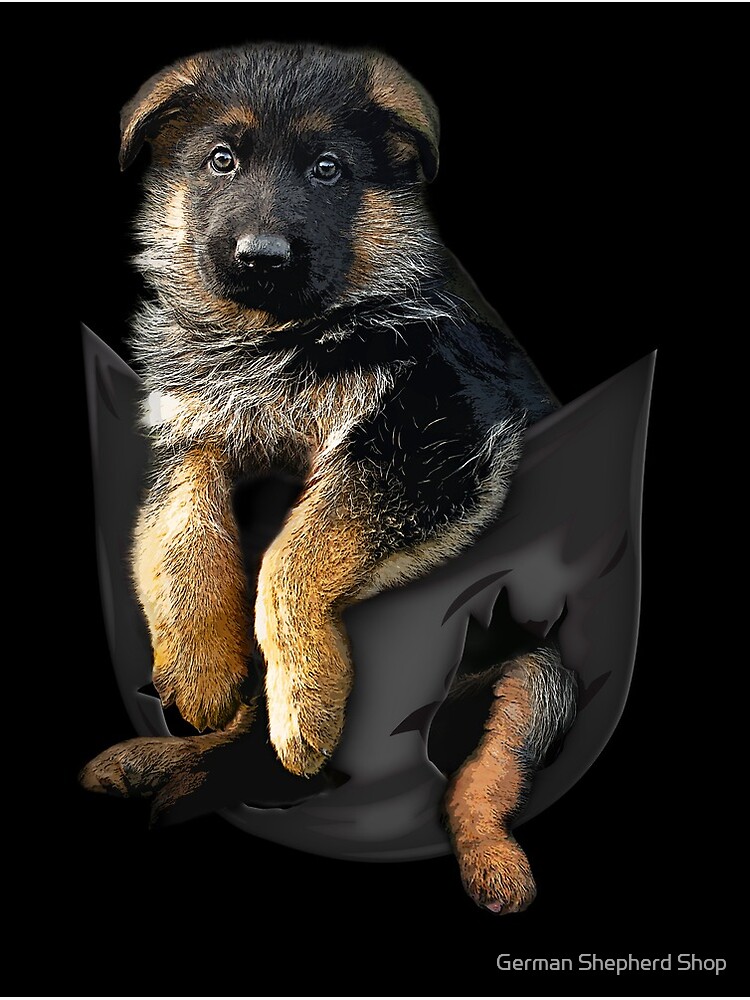 german shepherd puppy shop