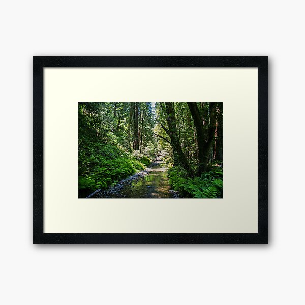 Item preview, Muir Woods National Monument, Mill Valley, California, USA designed and sold by rossacampbell.