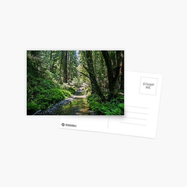 Item preview, Muir Woods National Monument, Mill Valley, California, USA designed and sold by rossacampbell.