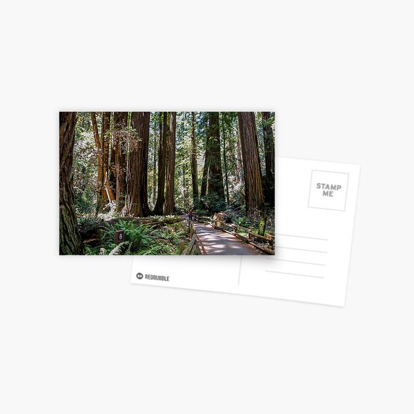 Item preview, Muir Woods National Monument, Mill Valley, California, USA designed and sold by rossacampbell.