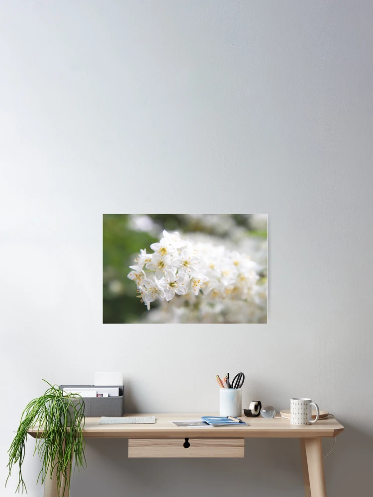 Thumbnail 2 of 3, Poster, Spring designed and sold by Getty72.