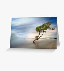 Starbreeze Greeting Card
