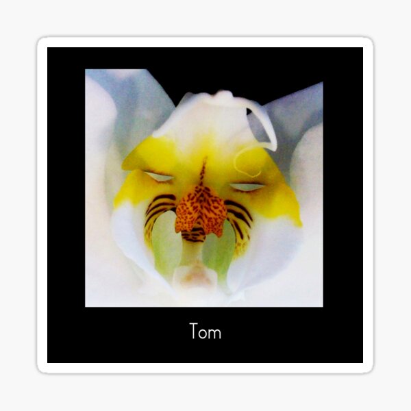 Tom - Orchid Alien Discovery Sticker