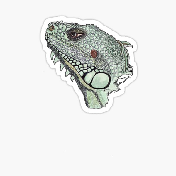 Iguana Sticker