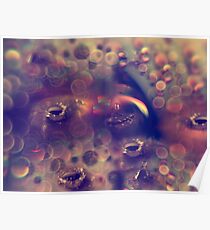 box of rain Poster