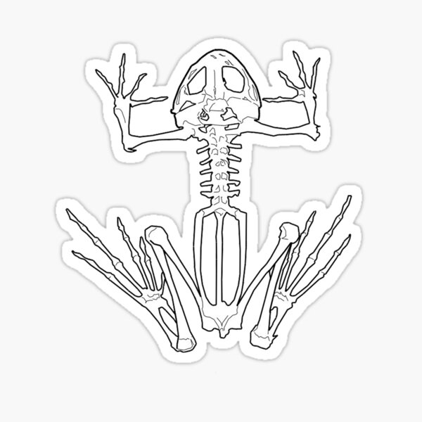 Item preview, Frog Skeleton designed and sold by klarapie.