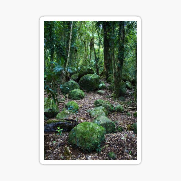 Item preview, Mossy Boulders - Springbrook N.P designed and sold by Jordan Miscamble.