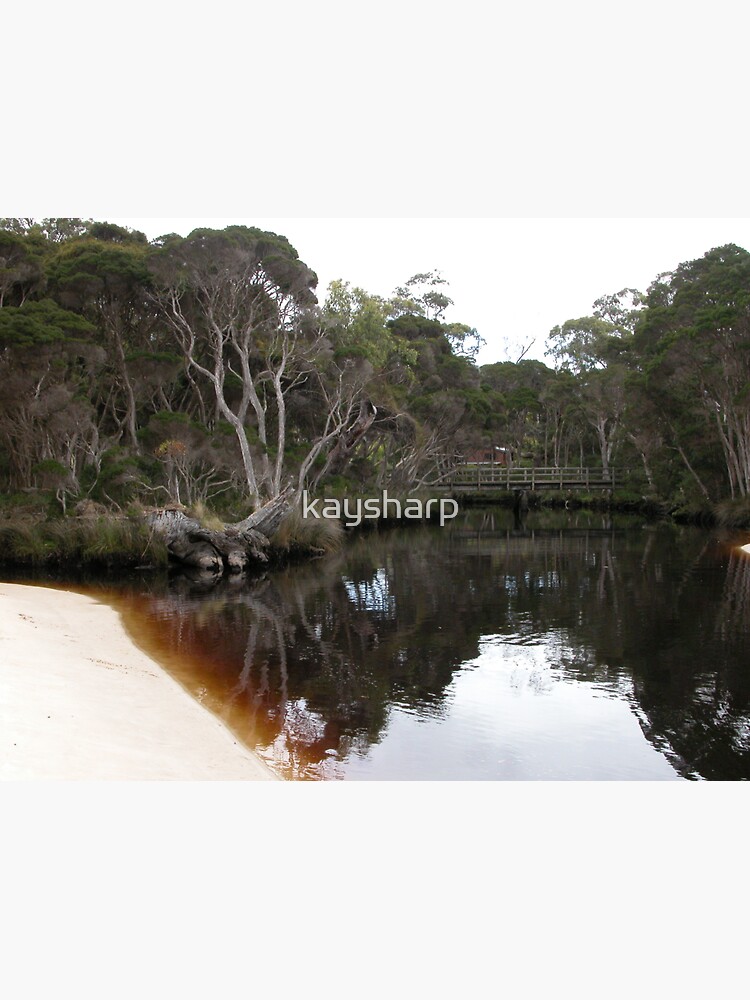 "Sisters Creek, Rocky Cape National Park, Tasmania, Australia." Sticker by kaysharp Redbubble