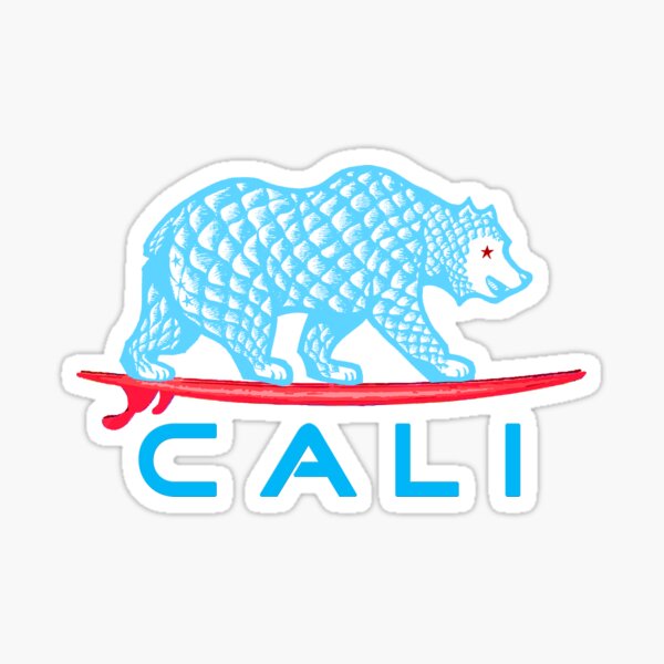Details about   CALIFORNIA SEASHELL COMPANY Bear CA Flag Surfboard V5 Vintage Surfing STICKER 
