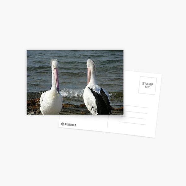 Item preview, Pelican pair designed and sold by Pam Wilkie.