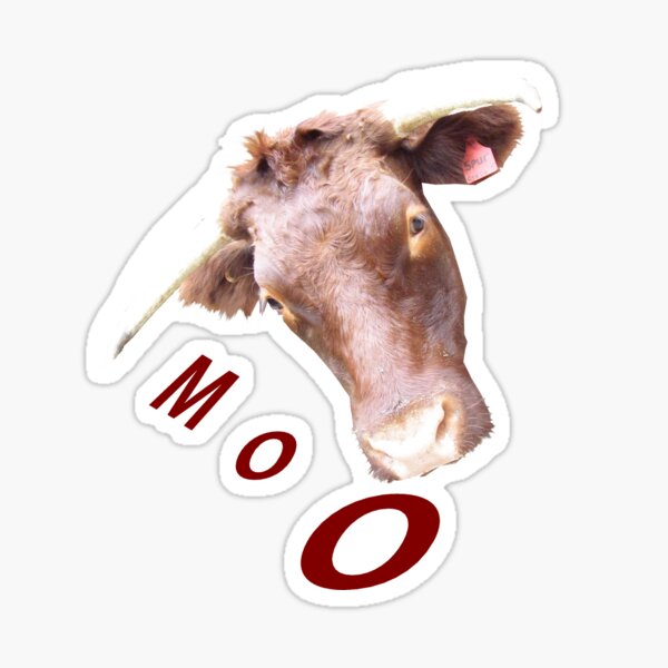 Moo Sticker