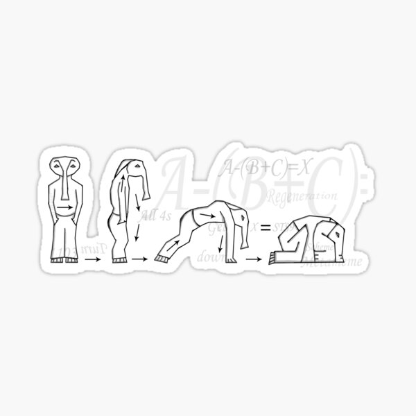 STS9 "X" Sticker