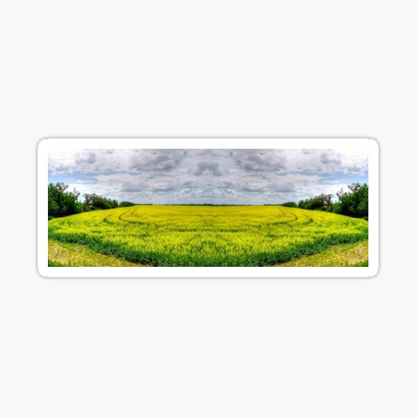 Item preview, Canola Field (Pano) designed and sold by Larry Trupp.