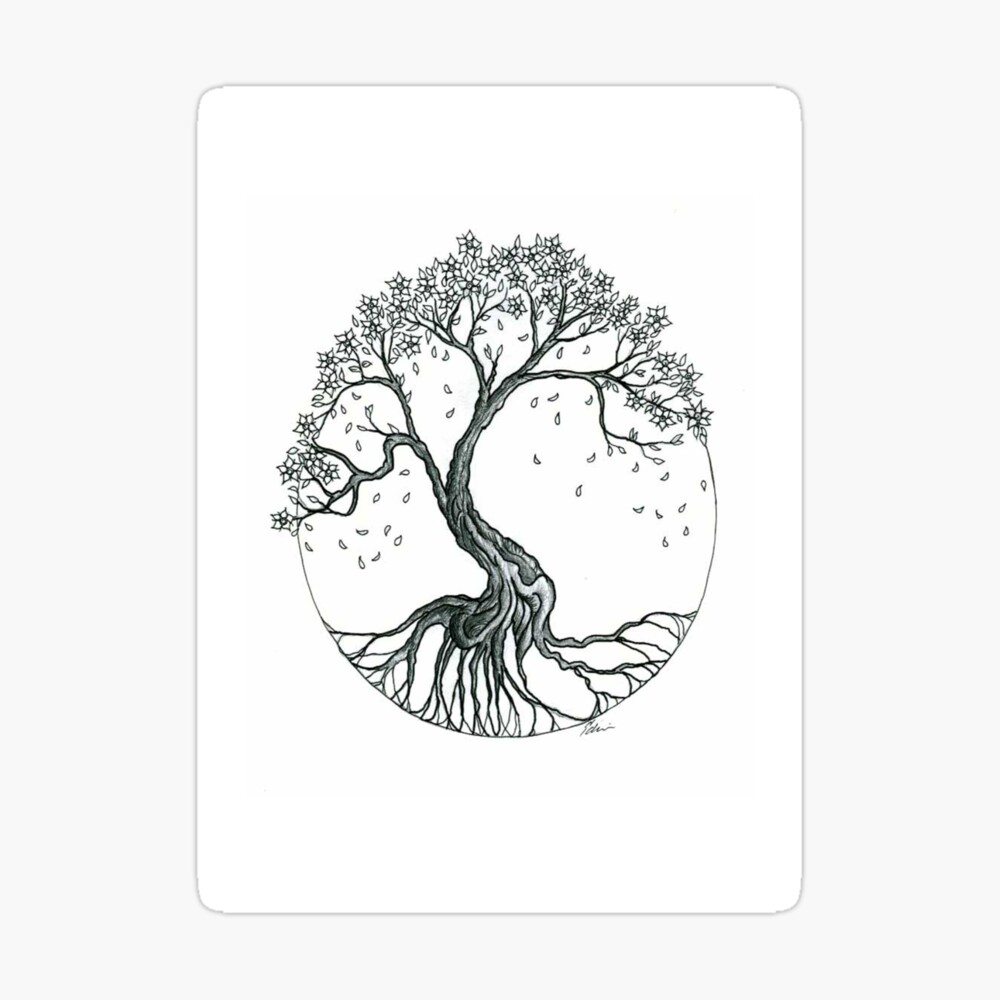 Cherry Blossom Tree Drawing Black And White - Tree Without Leaves